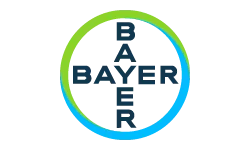 bayer